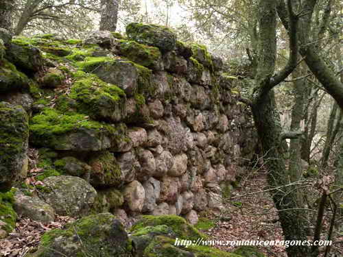 EXTERIOR DEL MURO SUR HACIA LA CABECERA